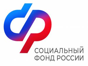 Отделение СФР предоставило гражданам Ивановской области семь собак-проводников