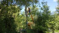 На территории Китовского сельского поселения продолжаются работы по опиловке деревьев.